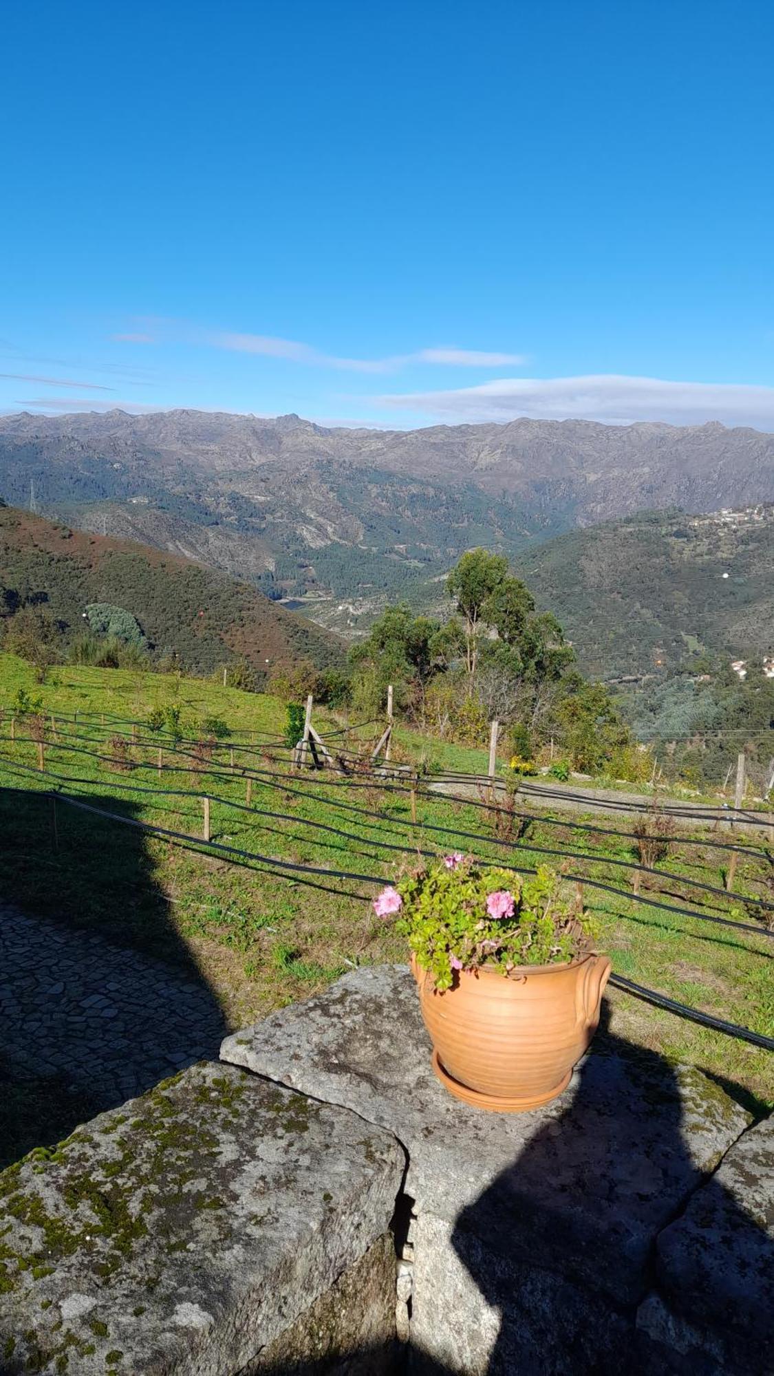 Quinta Da Riba Ma Guest House Santa Leocadia Exterior photo